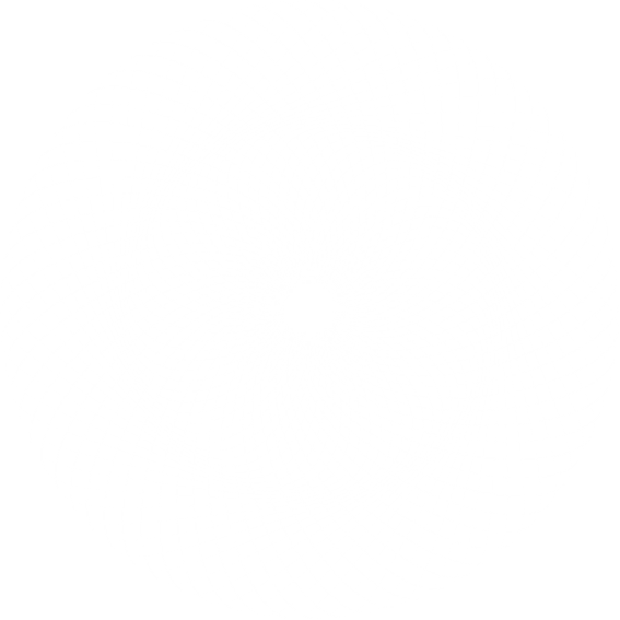 h4-illus-1